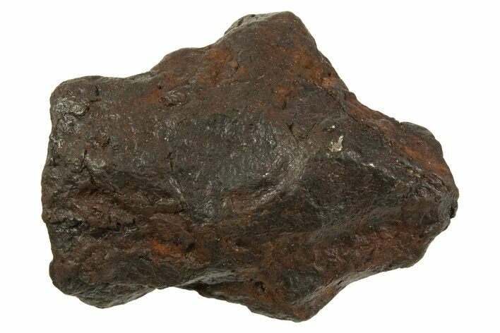 Canyon Diablo Iron Meteorite ( g) - Arizona #335976